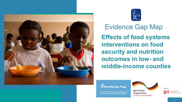 Expert panel: 3ie's new food system Evidence Gap Map offers a roadmap of the field