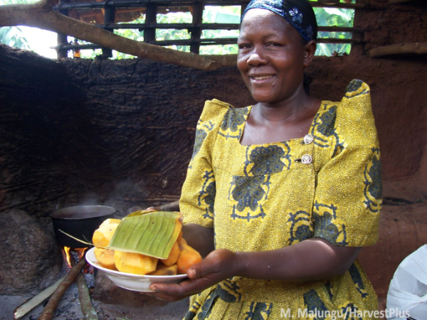 Using evidence to inform the scale-up of biofortified orange sweet potato in Uganda