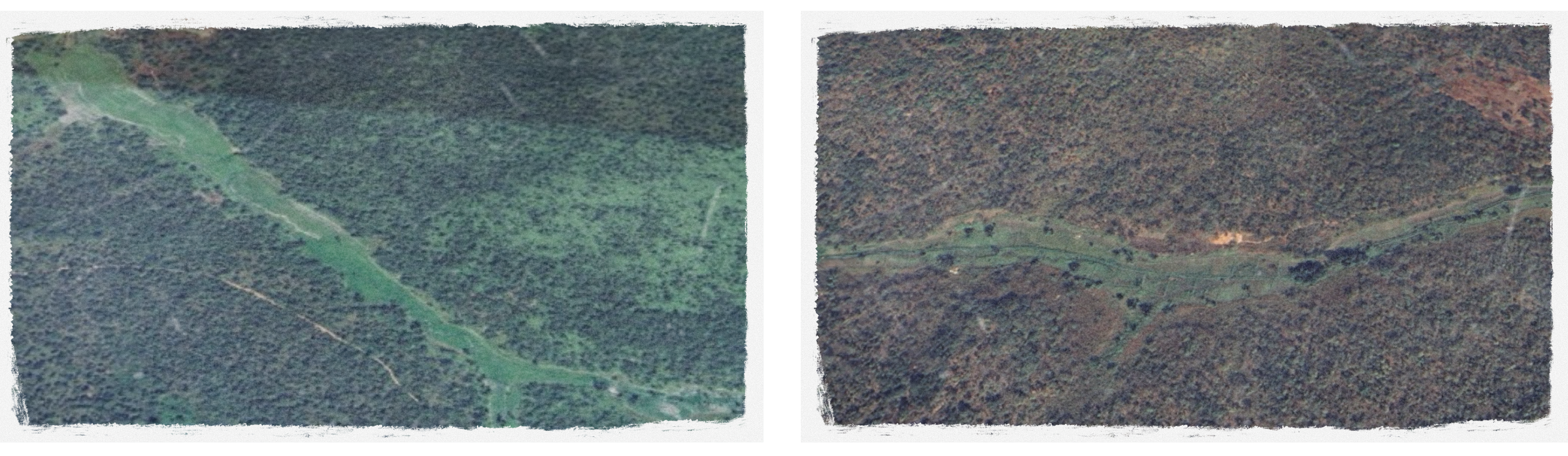 Measured vegetation and detected swamps in Sierra Leone and Guinea using remotely-sensed data for a study on impact of grain-buying and transport on crop yield.