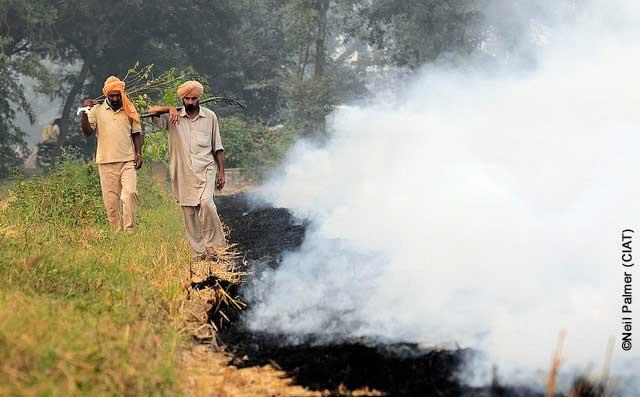 Understanding and reducing crop residue burning in North India