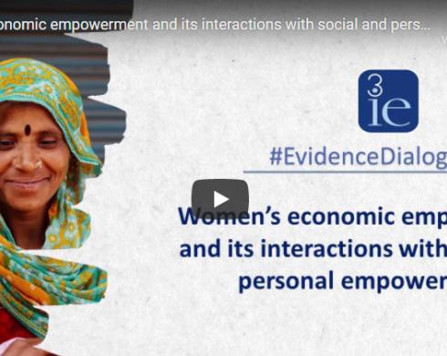 Women's economic empowerment and its interactions with social and personal empowerment