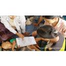 Community-checklists-immunisation-Myanmar