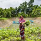 Request for proposals: Endline survey data collection for a large-scale aquaculture program in Bangladesh